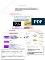 TEMA 2 Bacterias