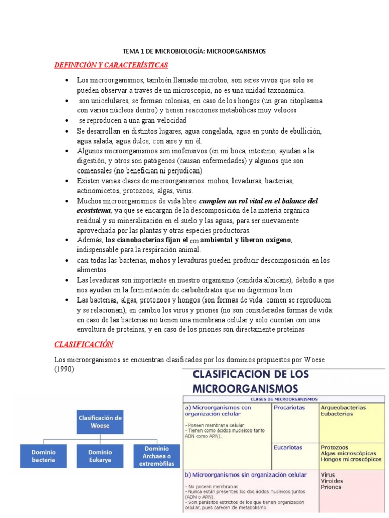 Características y Clasificación de Microorganismos | PDF | Algas | Las ...