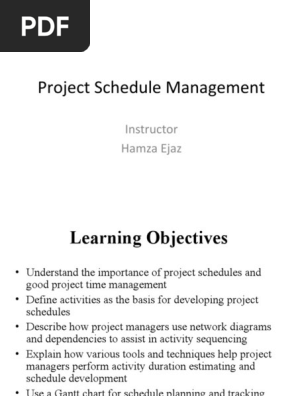 Project schedule mgnt