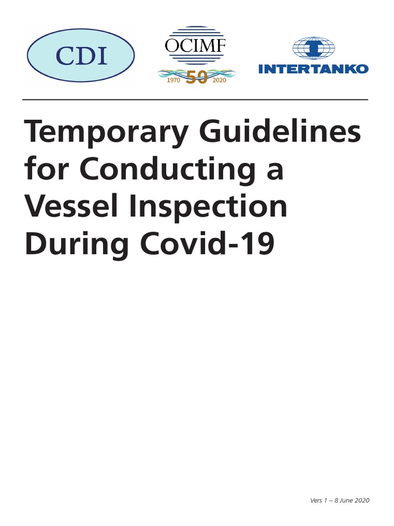 2020 - Temporary Guidelines For Conducting A Vessel Inspection During ...