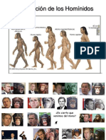 Evolución de Los Homínidos