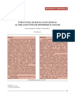 Structura I Rolul Funcþional Al Melanocitelor Epidermice Umane