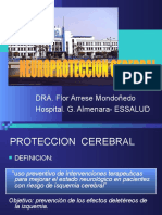 Neuroproteccion Cerebral