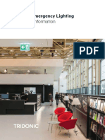 EN 1838 Emergency Lighting en PDF