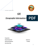 GIS Raport
