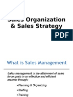 Sales Organization & Sales Strategy