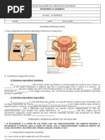 teste 6º ano - sistema reprodutor