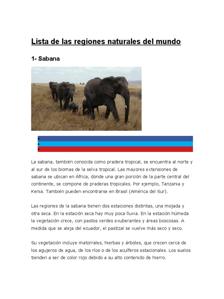 Regiones Naturales del Mundo | PDF | Selva | Tierra