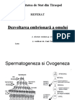 Dezvoltarea Embrionară A Omului