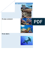 Zonas marinas según la profundidad.docx