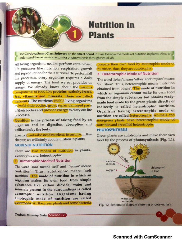 nutrition-in-plants-pdf