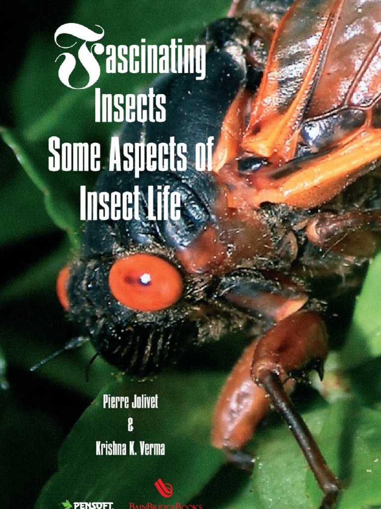 Fascinating Insects - Some Aspects of Insect Life | PDF | Biodiversity ...