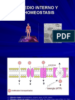 Medio Interno