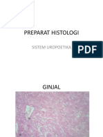 Preparat Histologi: Sistem Uropoetika