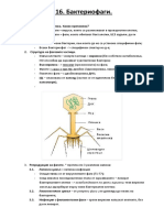 116. Бактериофаги