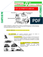 Cadena Alimentaria para Cuarto de Primaria