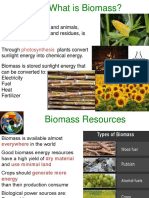 What Is Biomass
