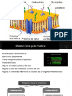 Membrana Plasmatica (1) .PPSX