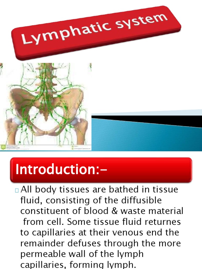 Surprisingly Simple Lymphatic System Label Learn - lc5ns6o