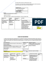 Ejemplo Caso Clinico Ejemplo Aplicando La Interrelacion de La NNN