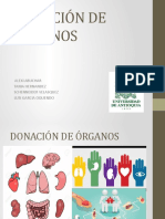 Donación de Órganos