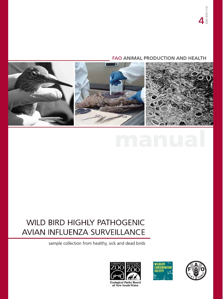FAO - Avian Influenza | PDF | Influenza A Virus Subtype H5 N1 | Avian ...