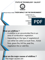 National Institute of Technology Calicut: Wildfires and Their Impact On The Environment