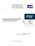 TRABAJO - Formacion Docente