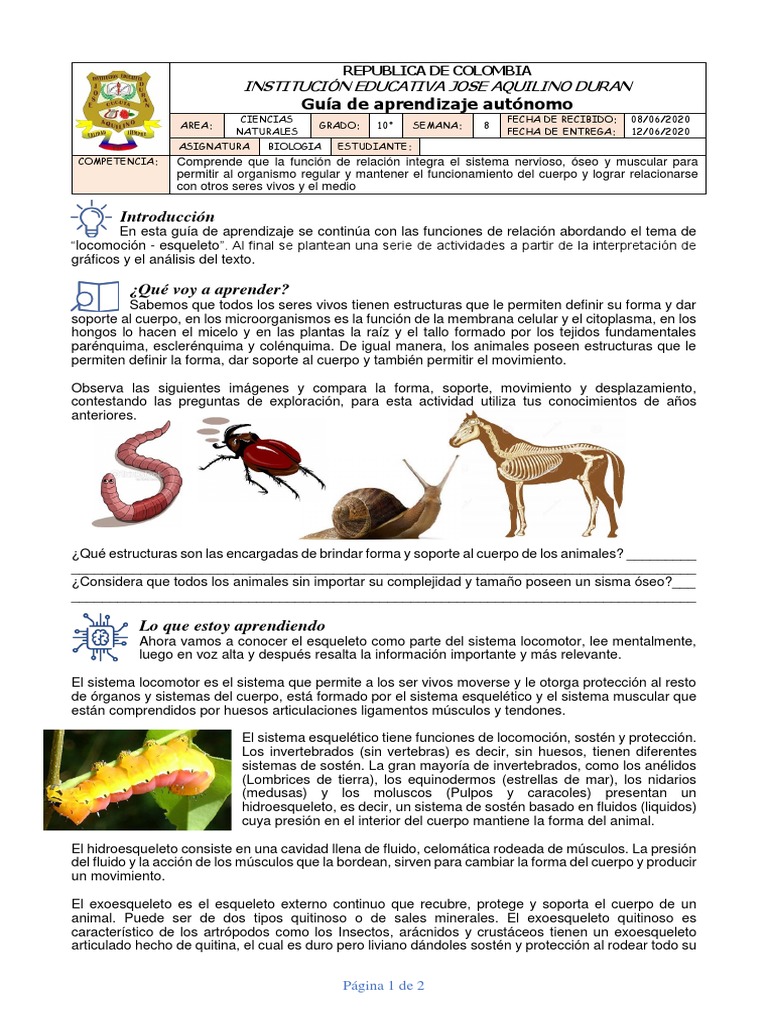 Sosten y movimiento de los animales sale