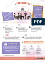 INFOGRAFIA DIRECTOR.pdf