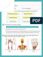 Sistema Oseo PDF