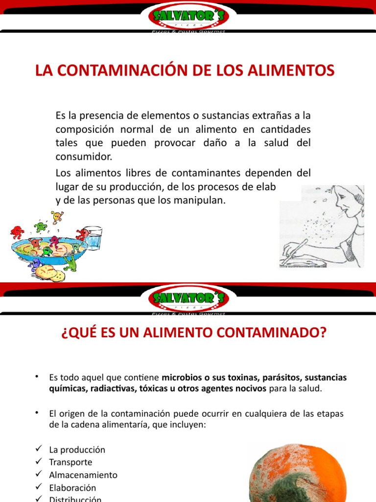 La Contaminación de Los Alimentos | PDF | Microorganismo | Las bacterias