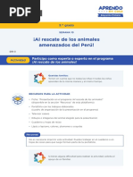 s10 4 Prim Dia 4 Actividad Ficha