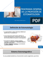Panorama General de La Profesión de Estomatología: Dra. Verónica Ulloa Cueva