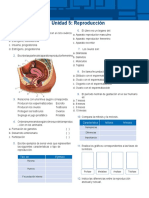 L4_PRUEBA5. reproduccion.docx