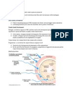 Chapter 3 - Embryogenesis and Development