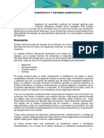 Bioenergética y Sistemas Energéticos PDF