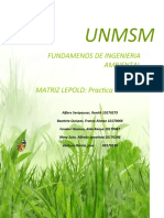 336330988-Analisis-Matriz-Leopold-PRACTICA-N1.docx