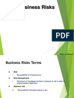 RS Business Risks