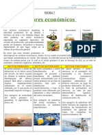 FICHA 7 Sectores Economicos