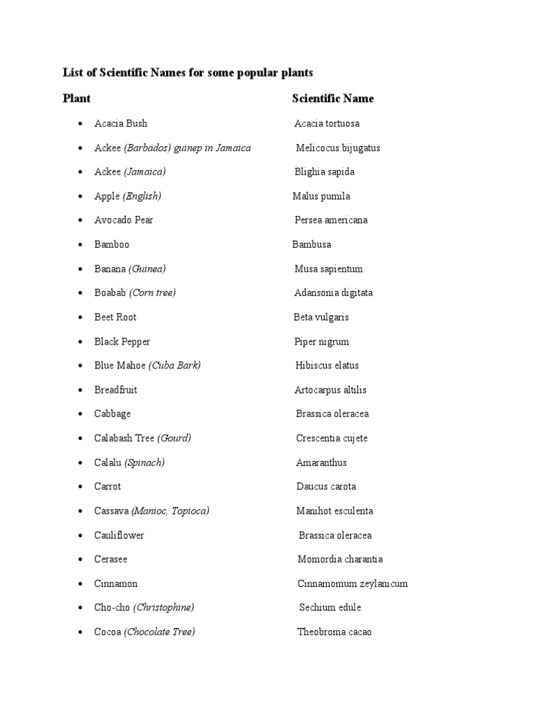 List of Scientific Names For Some Popular Plants Plant Scientific Name
