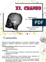 Craneeorx 111006234610 Phpapp02