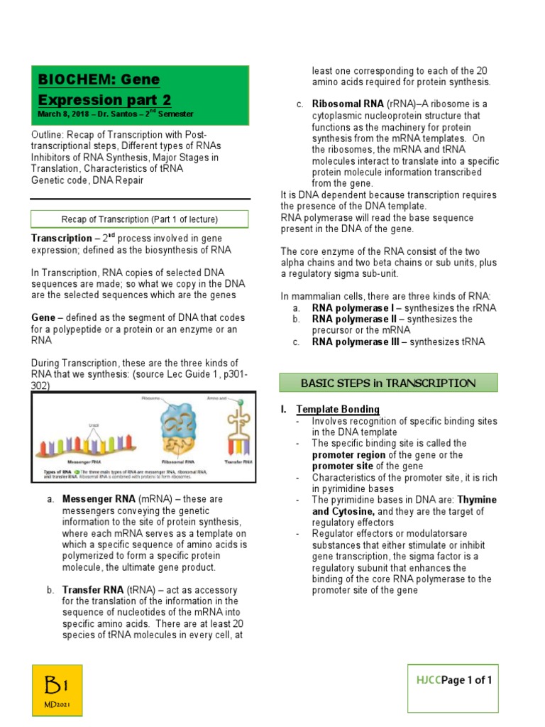 Biochem: Gene Expression Part 2: Recap of Transcription (Part 1 of ...