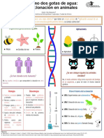 Copia de Infografía clonación con medidas.pptx (6)