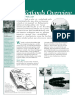 Wetlands PDF