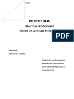 Practica Pedagogica PDF