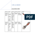 Músculos de las Mano PPT