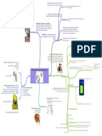 Enfermedades Del Sistema Lagrimal Image