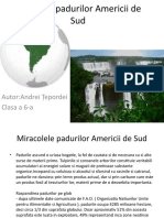 Miracolul padurilor Americii de sud.pptx