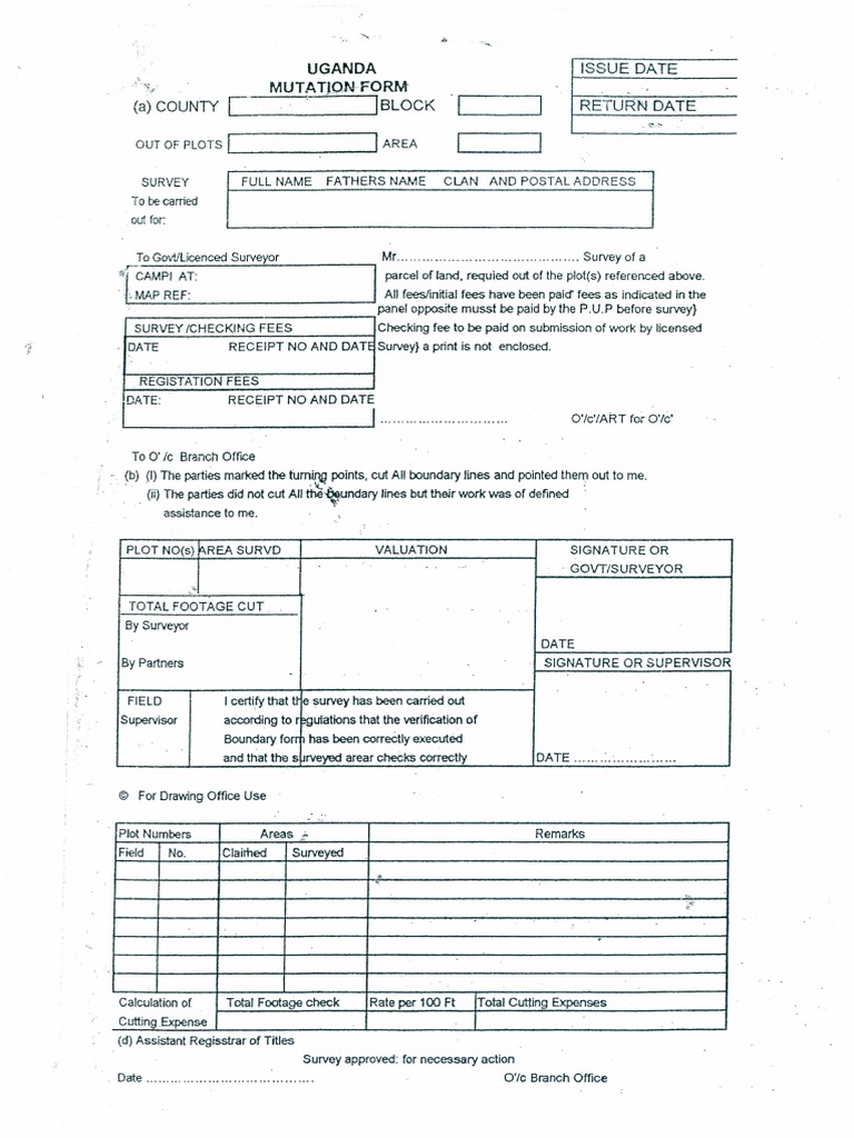 Mutation Form PDF | PDF